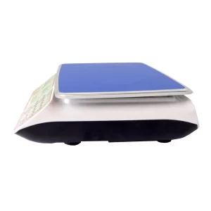 Balanza Camry de JC11 de 30 kg